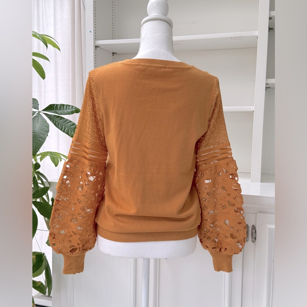 Knit top with lace sleeves - Picture 5 of 6